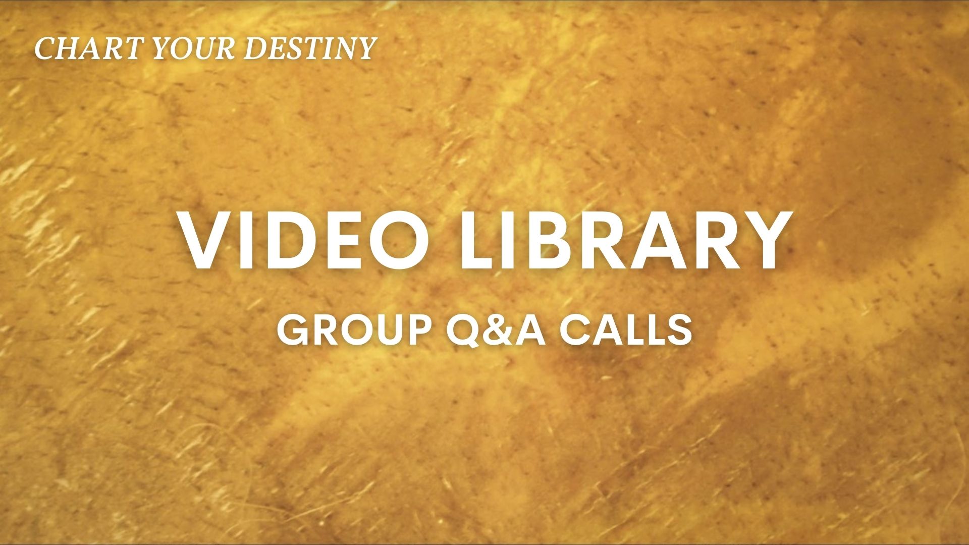 Q&A Group Calls – Video Library