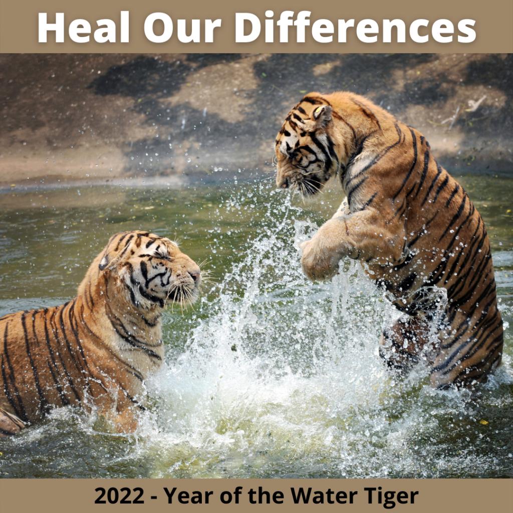 2022 is the year of the water tiger
