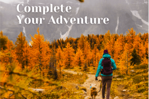 Complete your adventure