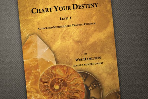 Chart Your Destiny training